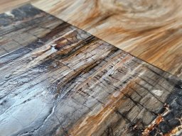 Brushed Petrified Wood Plank Flooring