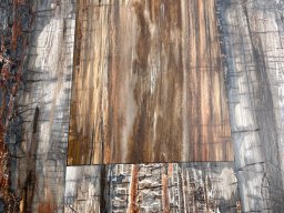Brushed Petrified Wood Plank Flooring