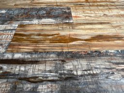 Brushed Petrified Wood Plank Flooring