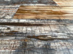 Brushed Petrified Wood Plank Flooring