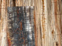 Brushed Petrified Wood Plank Flooring