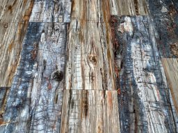 Brushed Petrified Wood Plank Flooring