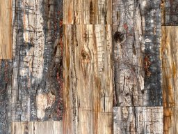 Brushed Petrified Wood Plank Flooring
