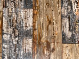Petrified Wood Plank Flooring
