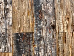Brushed Petrified Wood Plank Flooring