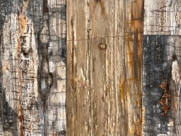Brushed Petrified Wood Plank Flooring