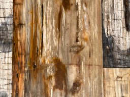 Brushed Petrified Wood Plank Flooring