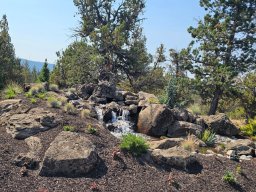 Basalt Lichen Specimen Boulders 