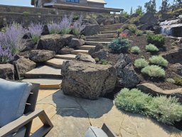 Basalt Lichen Specimen Boulders 
