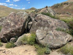 Elkhorn Granite Lichen Boulder